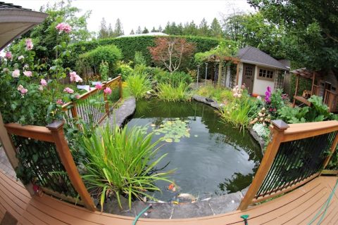 Verhoog jouw eigendomswaarde met een zwemvijver