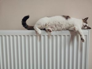De voordelen van Jaga radiatoren